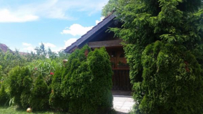 Отель Chalet Licko  Домжале